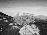 dante's view, death valley-californie 1