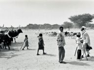 Tchad, nomades éleveurs