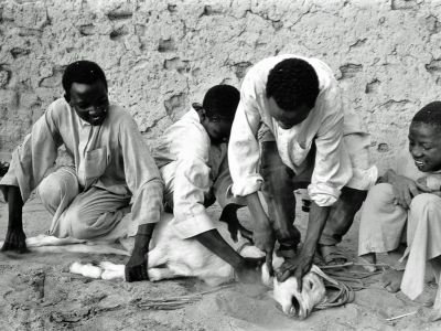 Photo d'Afrique, photo du Tchad, photo d'art, sacrifice rituel du mouton